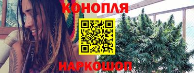 сатива Лесосибирск